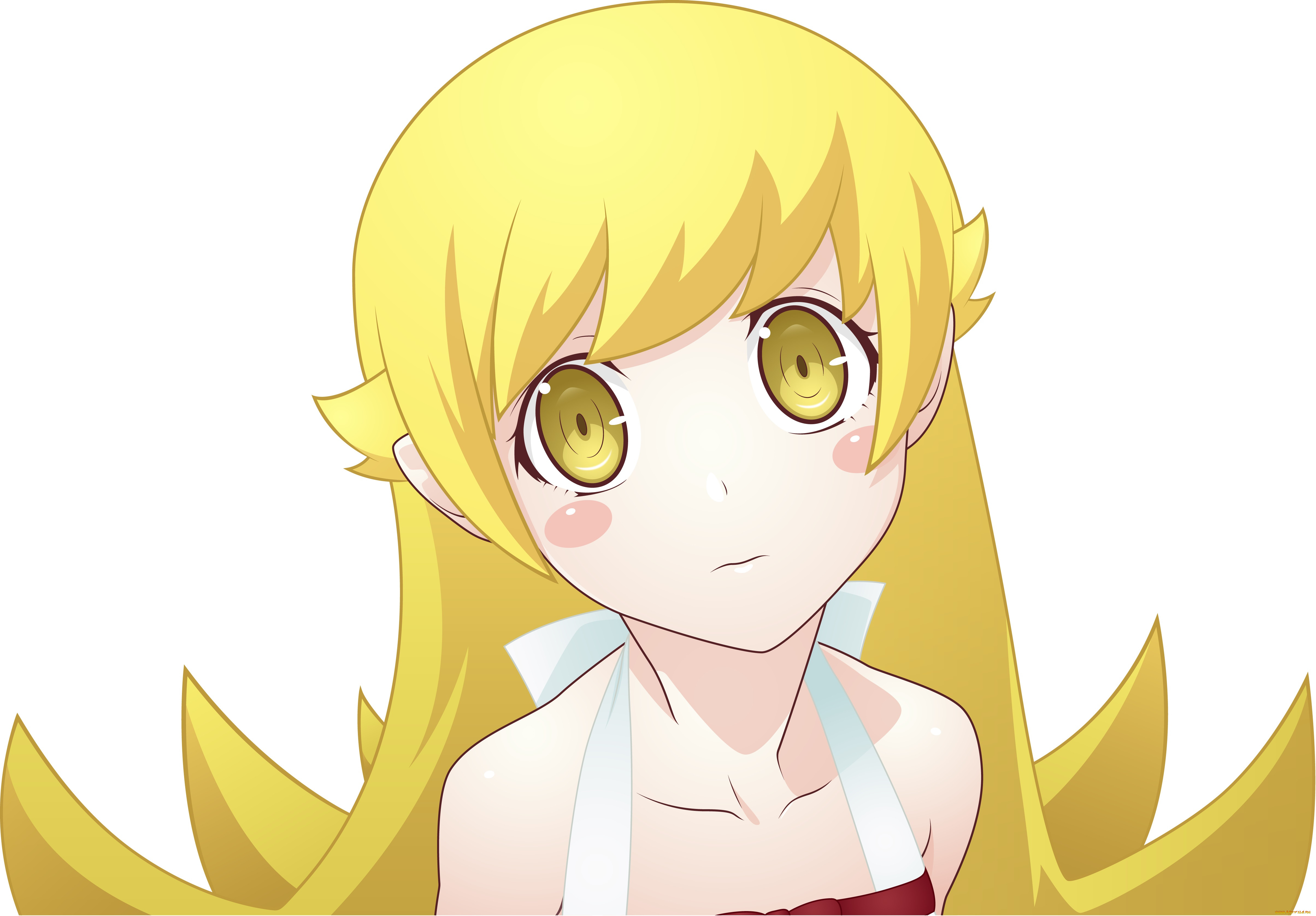 , bakemonogatari, , , 